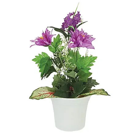 images/uploads/12204/thumb_1-270-D 2022.webp